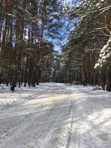 zima - konkurs fotograficzny w SP Czestków